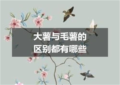 大薯与毛薯的区别都有哪些