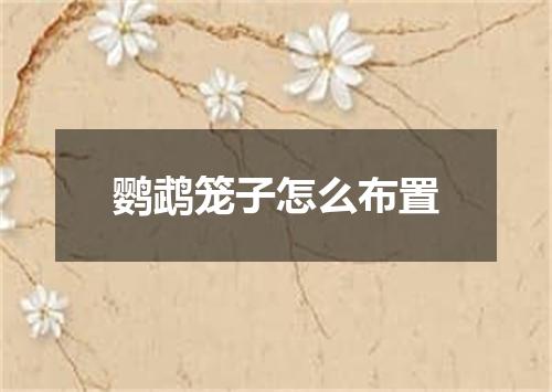 鹦鹉笼子怎么布置