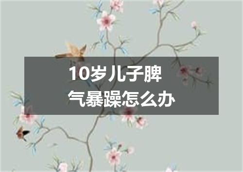 10岁儿子脾气暴躁怎么办
