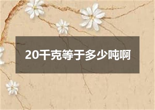 20千克等于多少吨啊