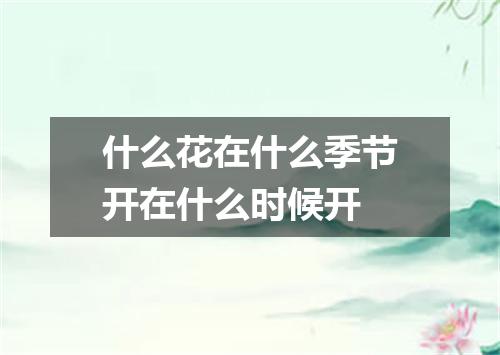 什么花在什么季节开在什么时候开