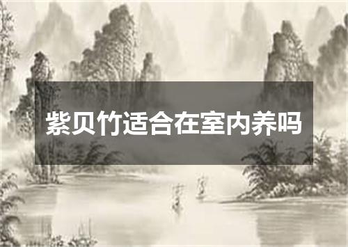 紫贝竹适合在室内养吗