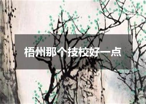 梧州那个技校好一点