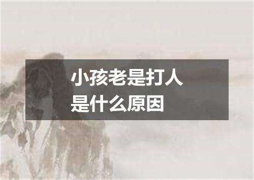 小孩老是打人是什么原因