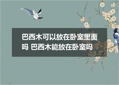 巴西木可以放在卧室里面吗 巴西木能放在卧室吗