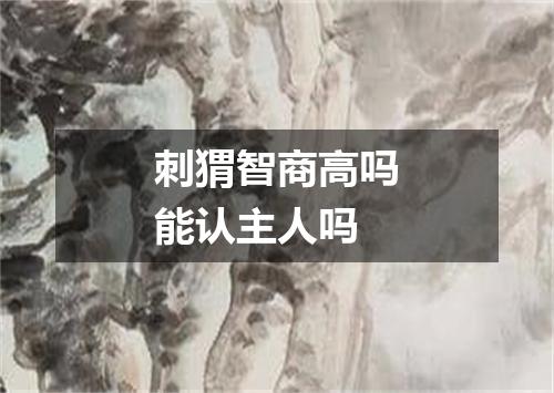 刺猬智商高吗能认主人吗