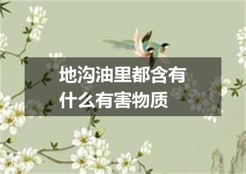 地沟油里都含有什么有害物质