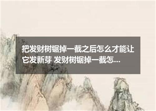 把发财树锯掉一截之后怎么才能让它发新芽 发财树锯掉一截怎么养