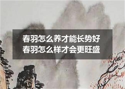 春羽怎么养才能长势好 春羽怎么样才会更旺盛