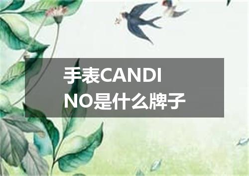 手表CANDINO是什么牌子