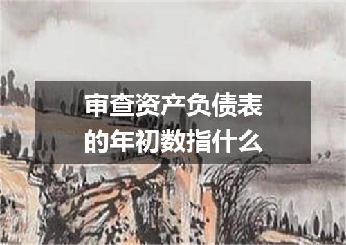 审查资产负债表的年初数指什么