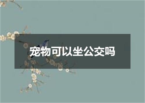 宠物可以坐公交吗