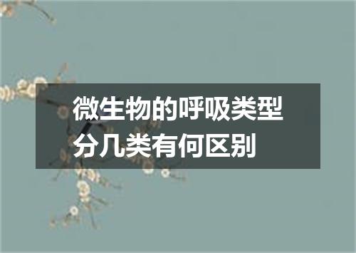 微生物的呼吸类型分几类有何区别