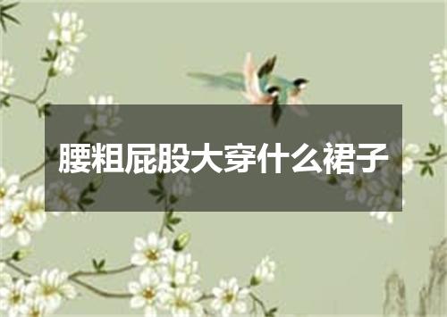 腰粗屁股大穿什么裙子