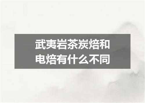 武夷岩茶炭焙和电焙有什么不同