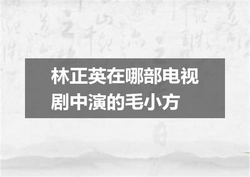 林正英在哪部电视剧中演的毛小方