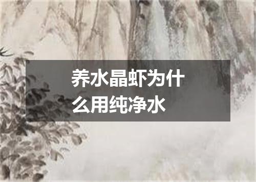 养水晶虾为什么用纯净水