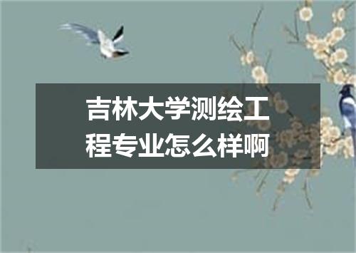 吉林大学测绘工程专业怎么样啊