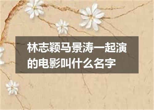 林志颖马景涛一起演的电影叫什么名字