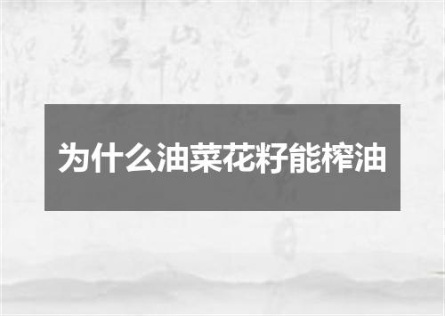为什么油菜花籽能榨油