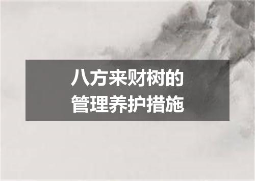 八方来财树的管理养护措施