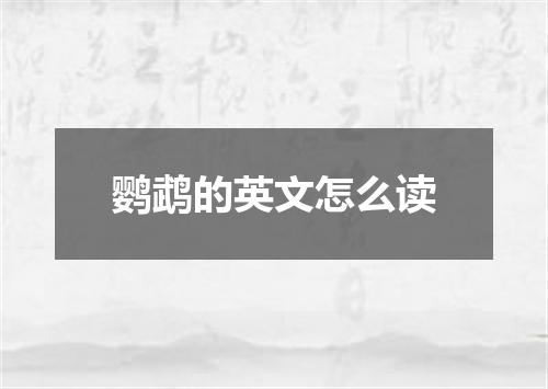鹦鹉的英文怎么读