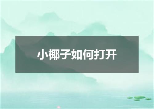 小椰子如何打开