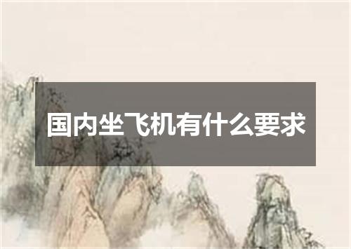 国内坐飞机有什么要求