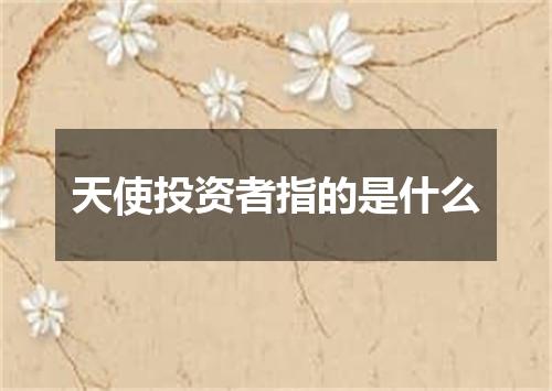 天使投资者指的是什么