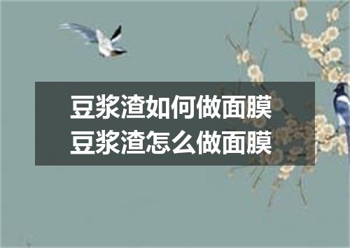 豆浆渣如何做面膜 豆浆渣怎么做面膜