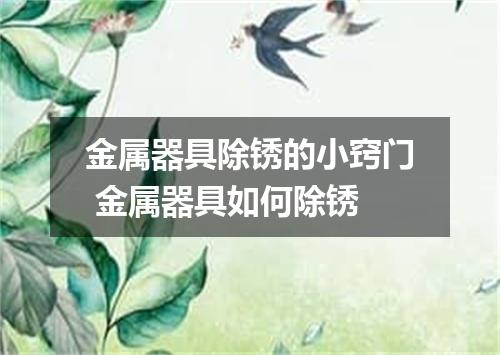 金属器具除锈的小窍门 金属器具如何除锈