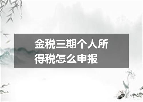 金税三期个人所得税怎么申报