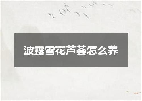 波露雪花芦荟怎么养