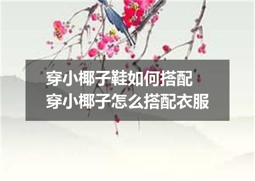穿小椰子鞋如何搭配 穿小椰子怎么搭配衣服