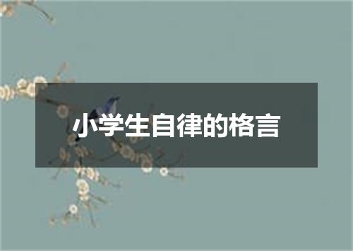 小学生自律的格言