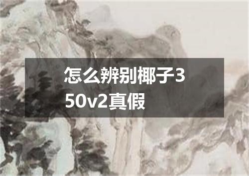 怎么辨别椰子350v2真假