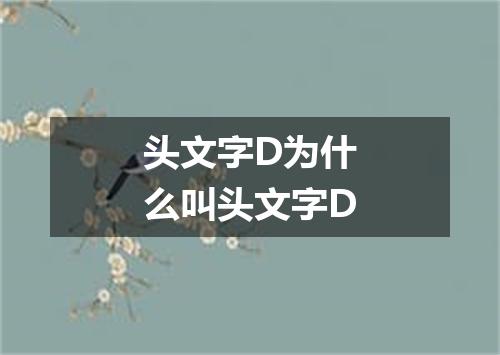 头文字D为什么叫头文字D