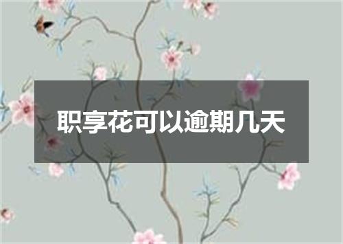 职享花可以逾期几天