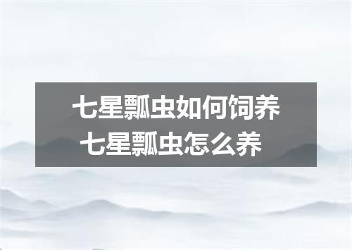 七星瓢虫如何饲养 七星瓢虫怎么养