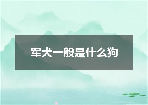 军犬一般是什么狗