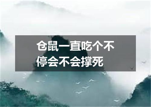仓鼠一直吃个不停会不会撑死