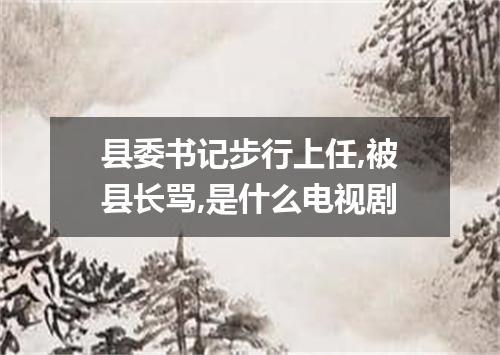县委书记步行上任,被县长骂,是什么电视剧