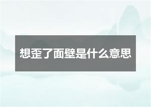想歪了面壁是什么意思