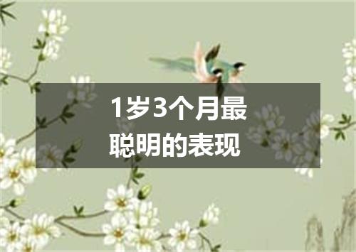 1岁3个月最聪明的表现