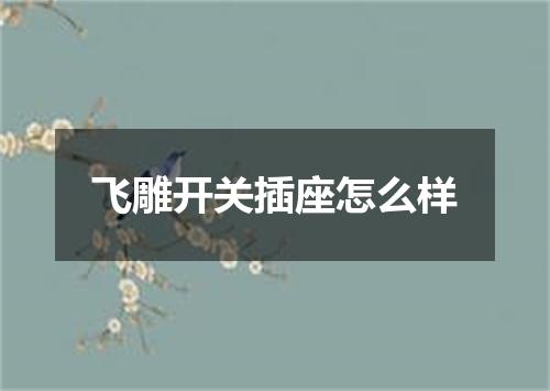 飞雕开关插座怎么样