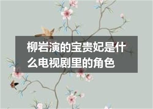 柳岩演的宝贵妃是什么电视剧里的角色