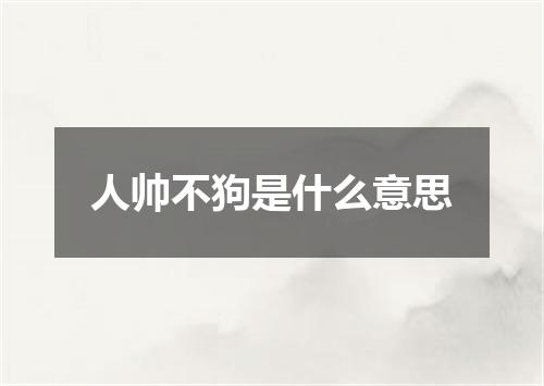 人帅不狗是什么意思