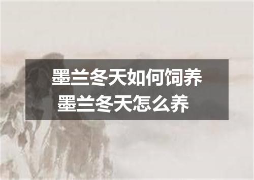 墨兰冬天如何饲养 墨兰冬天怎么养