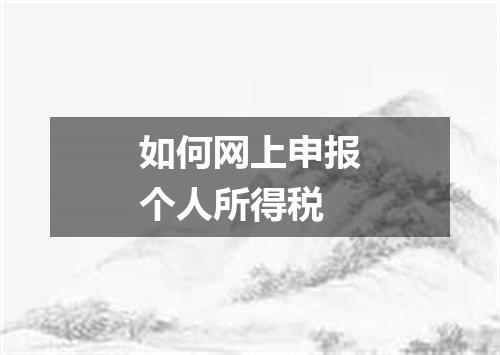 如何网上申报个人所得税