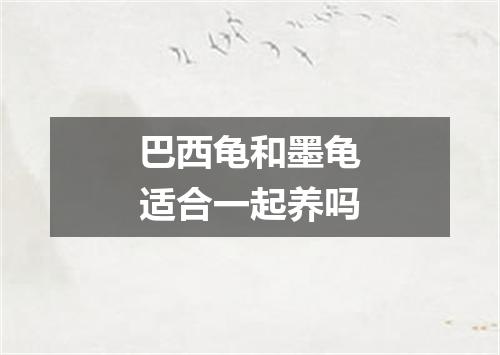 巴西龟和墨龟适合一起养吗